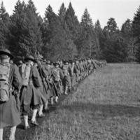 Dozens of soldiers marching two or three abreast in a line through a wooded clearing.  They are marching towards the tree line. 