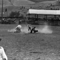 1981 Rodeo, Bull Riding 09