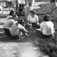 1982 Students, BBQ 01