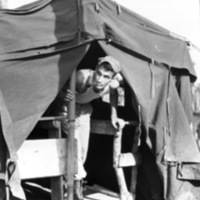 S/Sgt Nicastro, Photo Section