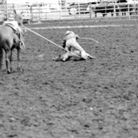 1987 Rodeo, Roping 05