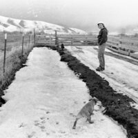 1974 Livestock Ranch 03