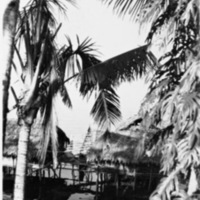 Biak Native Homes 8