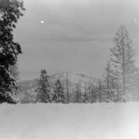 1981 Oregon, Blue Mountains 09