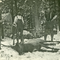 Idaho, Elk Hunting