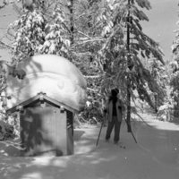 1979 Oregon, Anthony Lakes 01