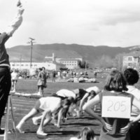 1971 Track, Start Line
