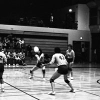 1981 Volleyball Action 05