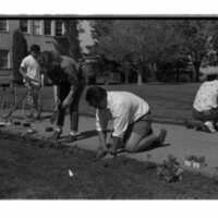 1989 Employees, Planting 24