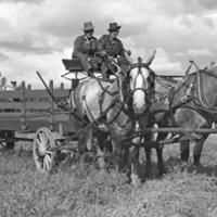 Union Stock Show, 1941 5