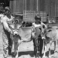 Union Stock Show, 1929 1