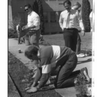 1989 Employees, Planting 06