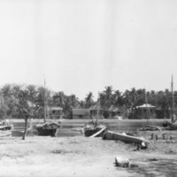 Dagupan, Local Homes