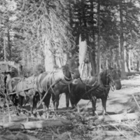 Oregon, Hay Wagon