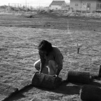 1981 Football Field, New Grass 08