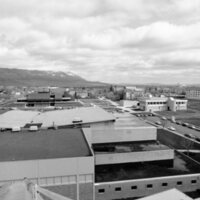 1974 Campus 08