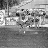 1978 Rodeo, Bronco Riding 07