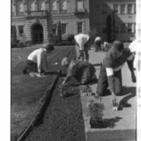 1989 Employees, Planting 08