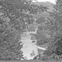 1984 Campus 01