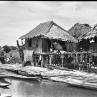 Hollandia Native Homes 2
