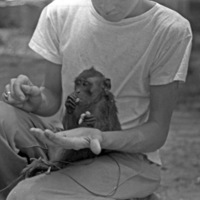 A monkey, named Jocko, sitting in the lap of a squatting young man. The monkey is eating something.