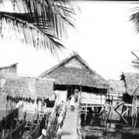 Biak Native Homes 2
