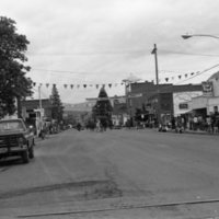 1981 Eastern Oregon Livestock Parade, Horses &amp; Riders 06