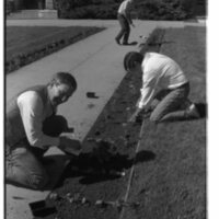 1989 Employees, Planting 14