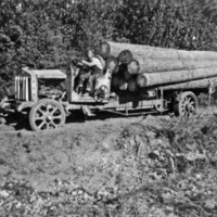 Logging Truck 3