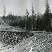 Train Tracks, Trestle