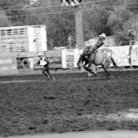 1987 Rodeo, Bronco Riding 15