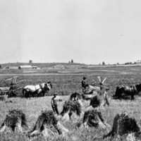 Elgin, Farm Binders