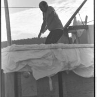 1989 Homecoming Dunk Tank 07