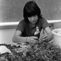 1977 Native American Root Feast, Preparation 09