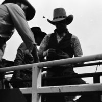 1981 Rodeo, Cowboys in Chute 16