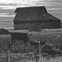 1985 Agriculture, Ranch 06