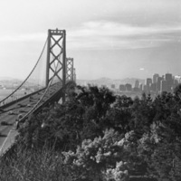 California, Golden Gate Bridge 10