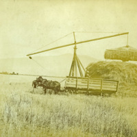 GRV, Stacking Hay 1