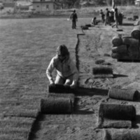 1981 Football Field, New Grass 13