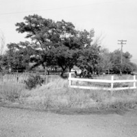 1958 Thomas Property 5
