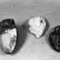1979 Mammoth Teeth 01
