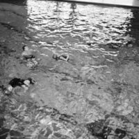1972 Swimming Class 07