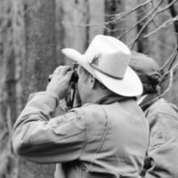 1987 Field Trip, Forest 02