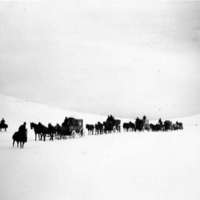 1912 Oregon, Elk Imports 2