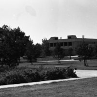 1982 Zabel Hall 12
