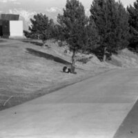 1985 Student, Outdoors 02