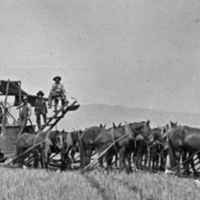 Umatilla County, Farming