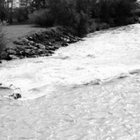 1983 Raft Race, Unmanned Raft 01