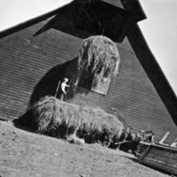 Elgin Farm, Carl Long 1