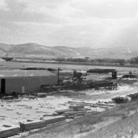 1980 Log Plant 12